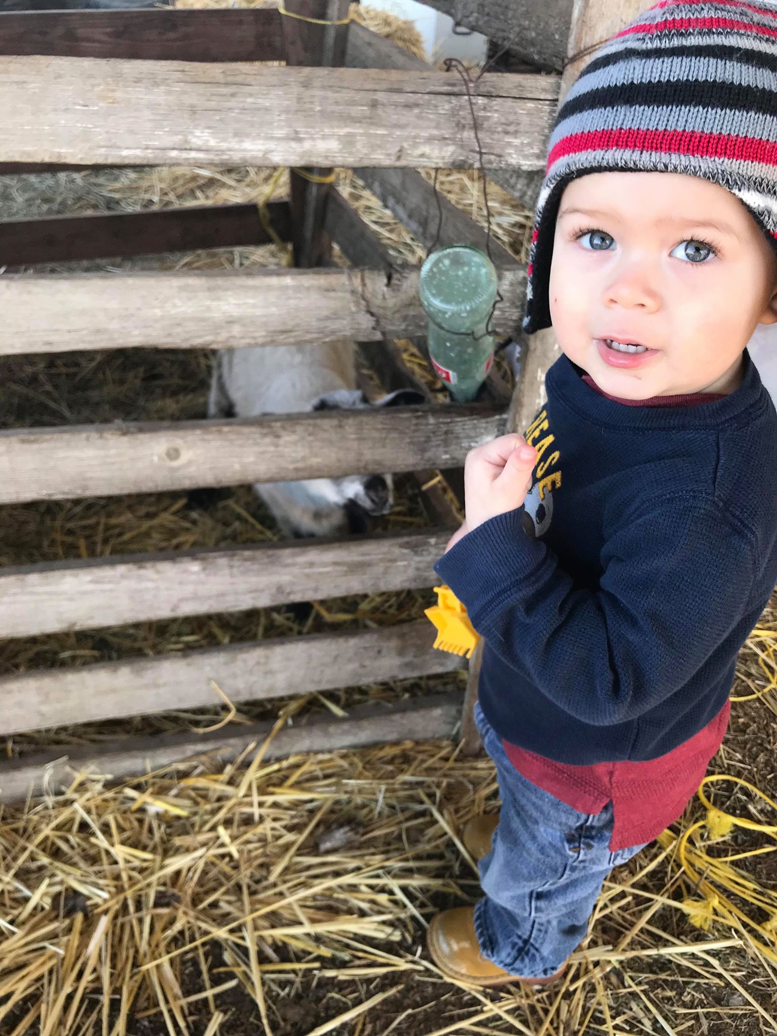 Baby rancher Ag Expo Magazine